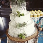 Cool Cake with Succulents