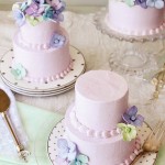 Cutest and Super Lovely Mini Wedding Cakes