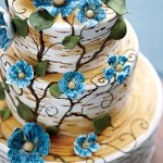 Super Gorgeous Cake