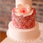 Cake with Sprinkles