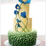 Wedding Cake for a Happy Bride