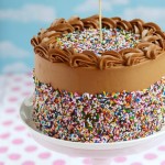 6-Layer Chocolate Sprinkle Cake