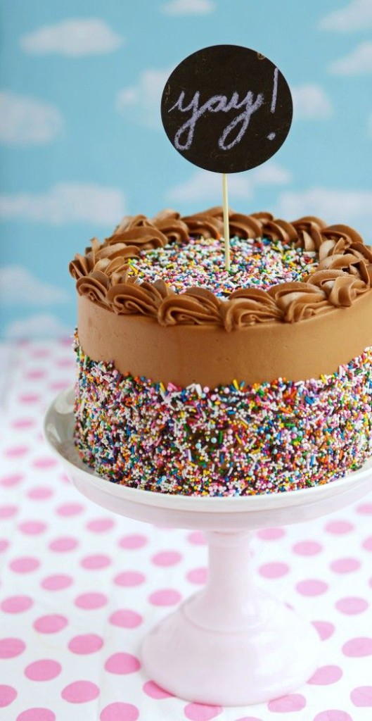 6-Layer Chocolate Sprinkle Cake