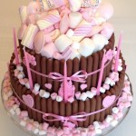 Pink Princess Chocolate Marshmallow Cake