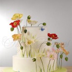 Poppy Summer Wedding Cake with Blue Butterflies