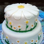 Daisy Cake