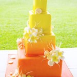 Orange Yellow Cake