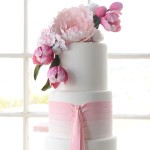 Pink Ombre Cake with Whimsical Details