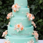 Mintgreen and Peach Cake