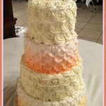 Petlas and Rosettes Cake