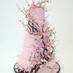 Pink Forest Cake