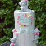 Tatty Teddy Cake