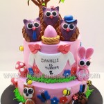 3D Owl Cake