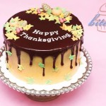 Haydey Maño Garcia's Happy Thanksgiving Cake