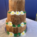 Diane Willcocks Wood Themed Cake