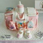 Diaper Bag Cake by Nora Brown‎