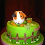 Helen Vallis Cute Cake