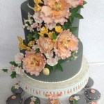 Sweet Sally's Cake