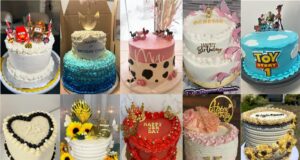 Vote_ Decorator of the Worlds Fascinating Cakes