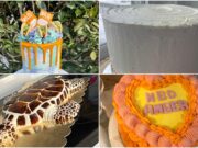 Vote_ Worlds Highly Remarkable Cake Expert